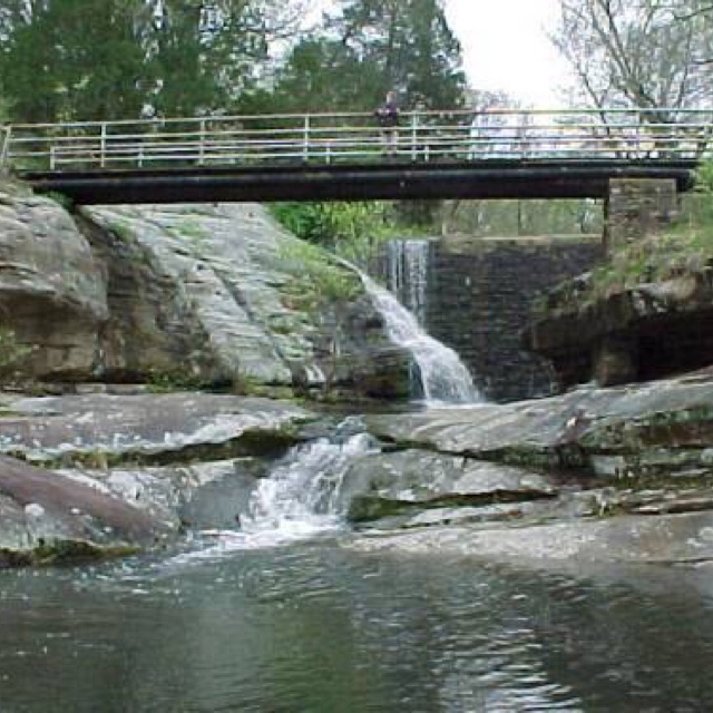 image2 Dixon Springs